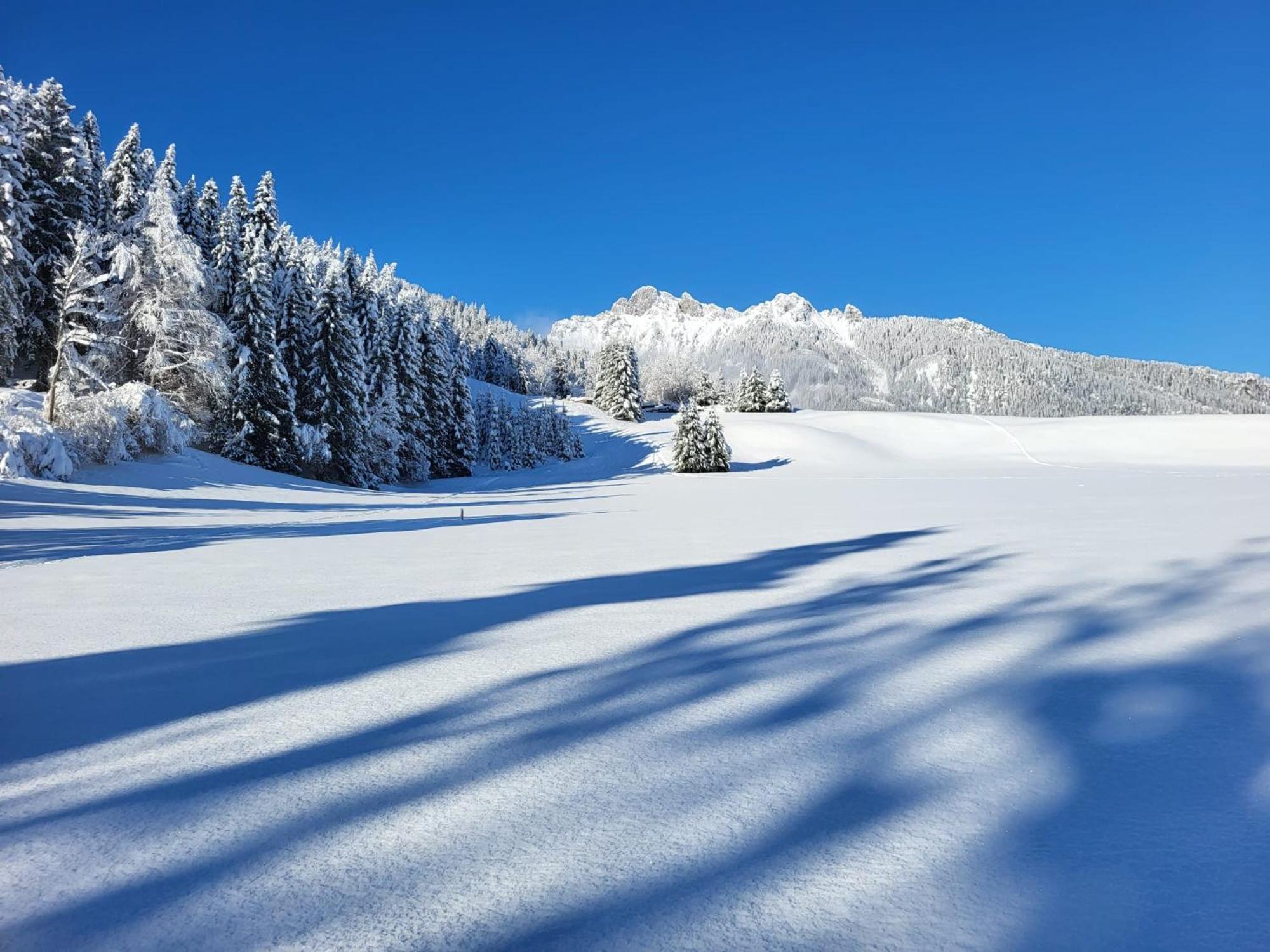 Alpapart Hornberg Hofen Екстер'єр фото