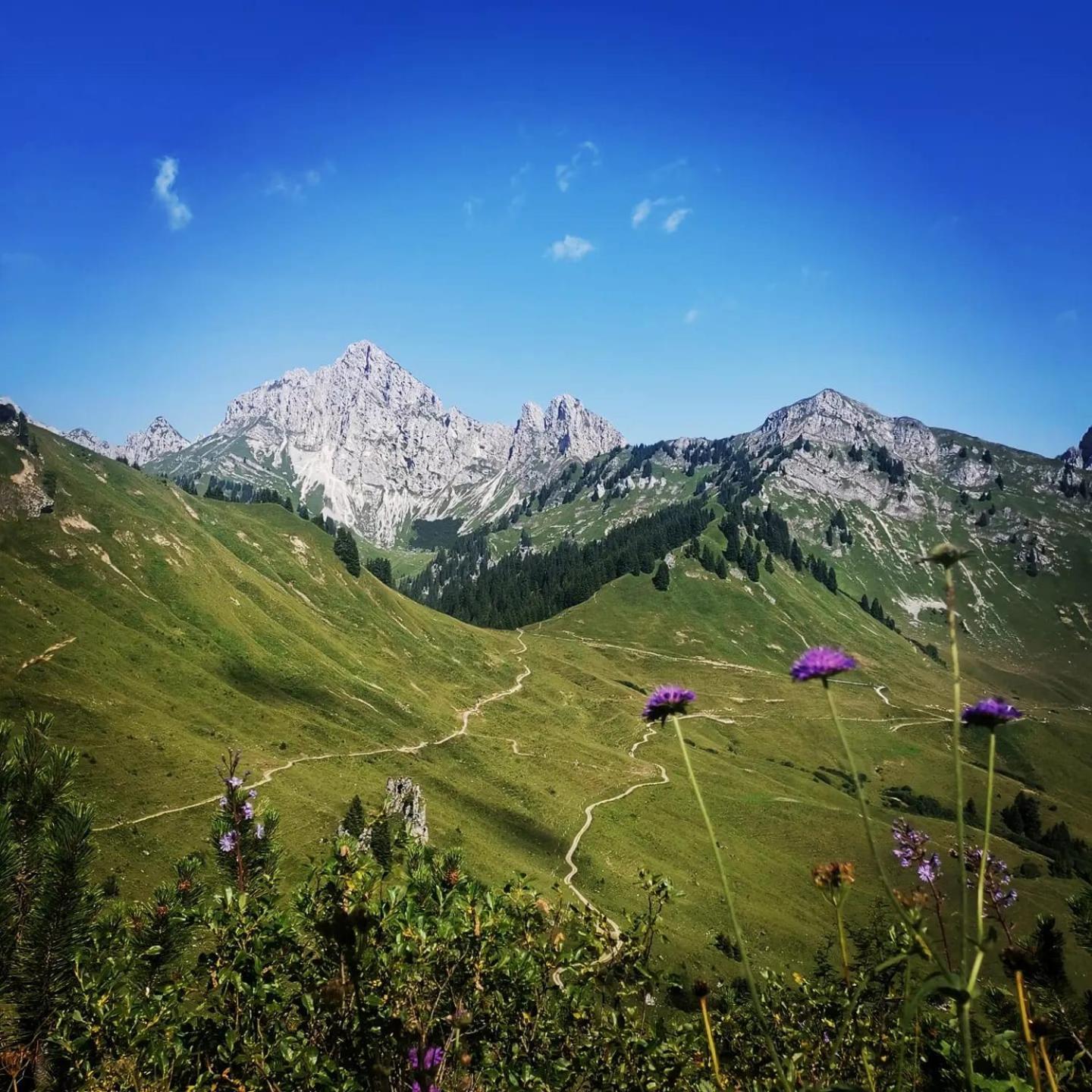 Alpapart Hornberg Hofen Екстер'єр фото