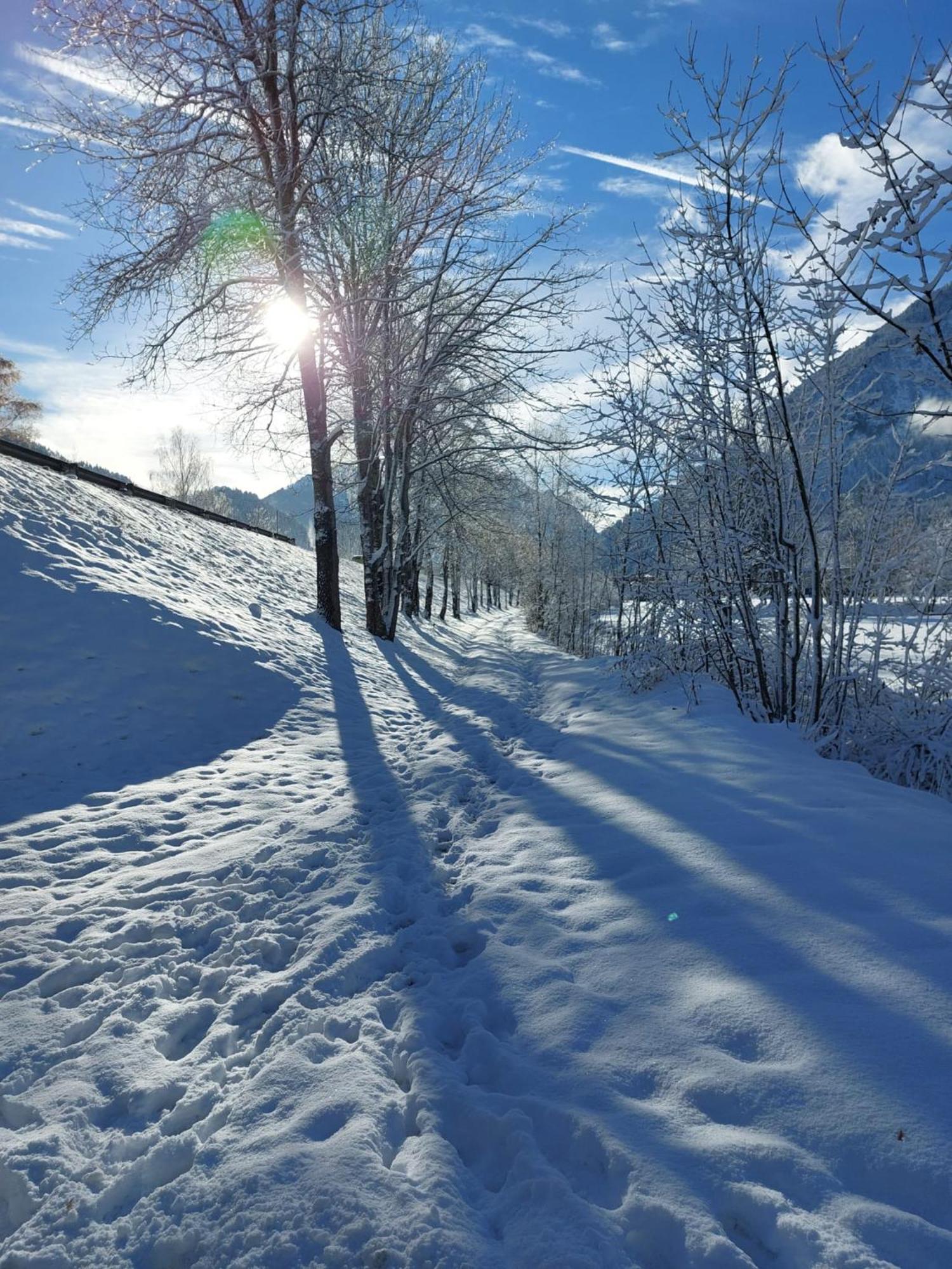 Alpapart Hornberg Hofen Екстер'єр фото