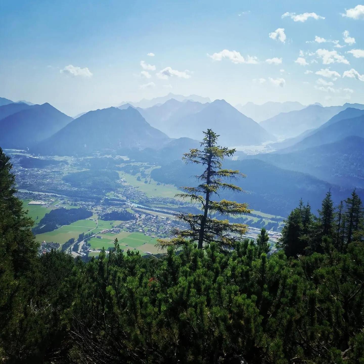 Alpapart Hornberg Hofen Екстер'єр фото