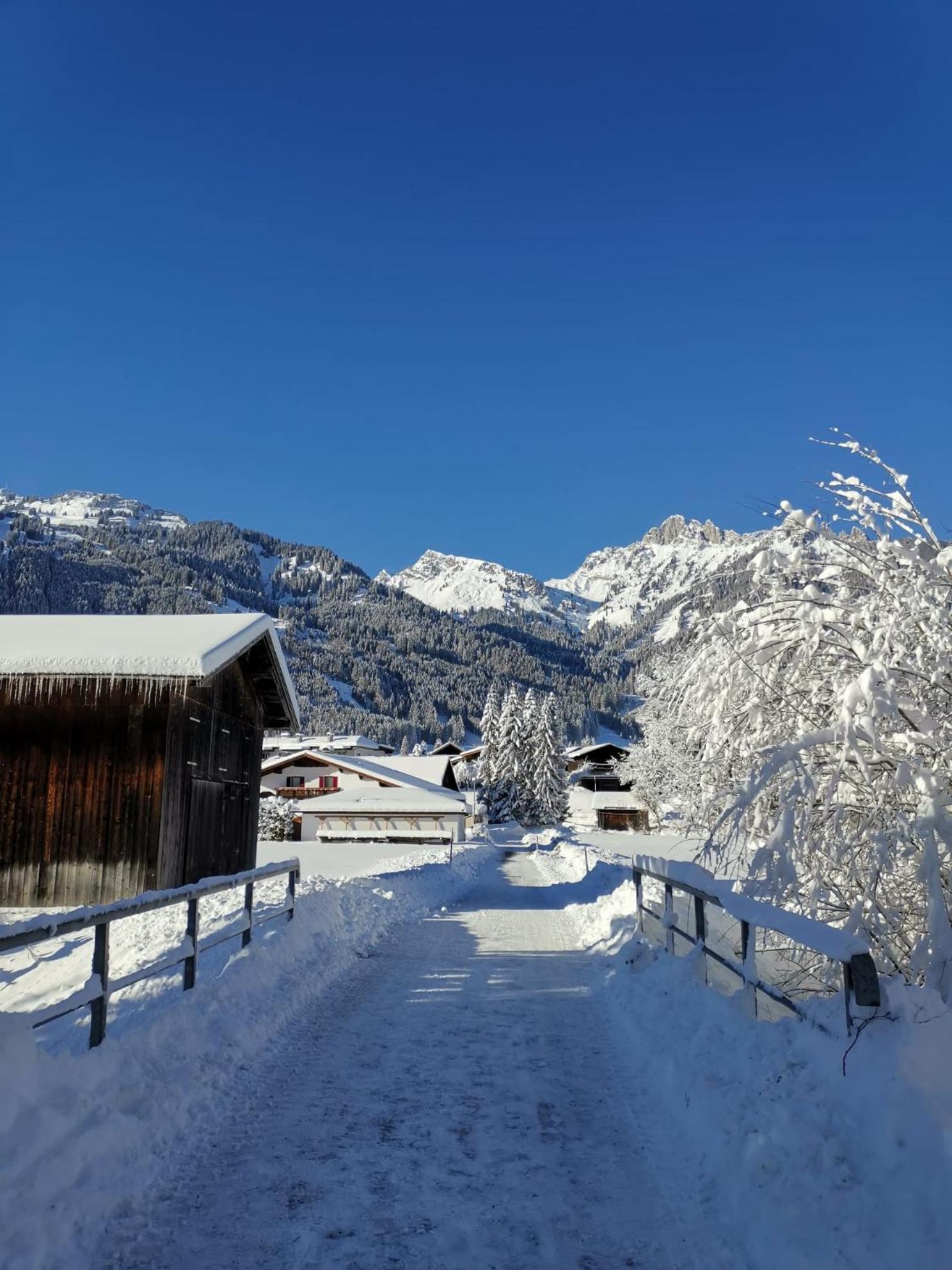 Alpapart Hornberg Hofen Екстер'єр фото