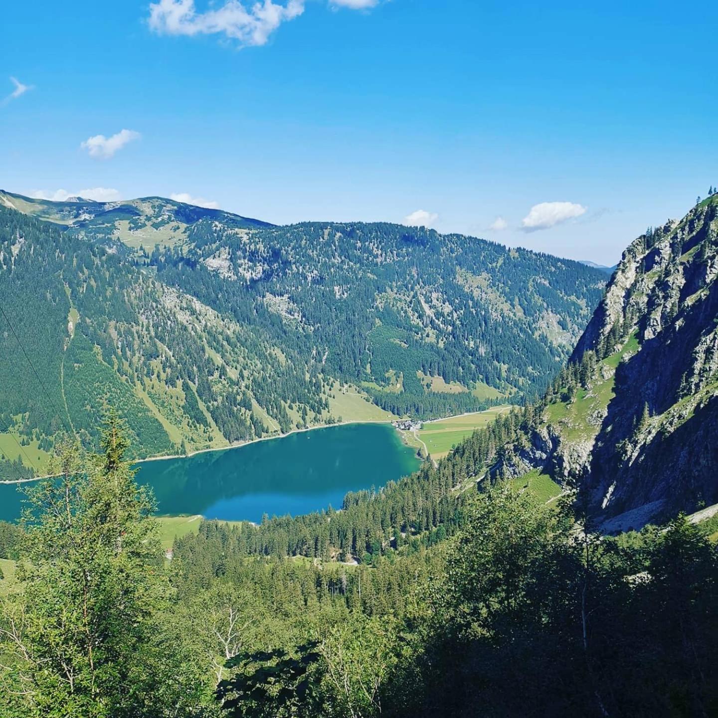 Alpapart Hornberg Hofen Екстер'єр фото