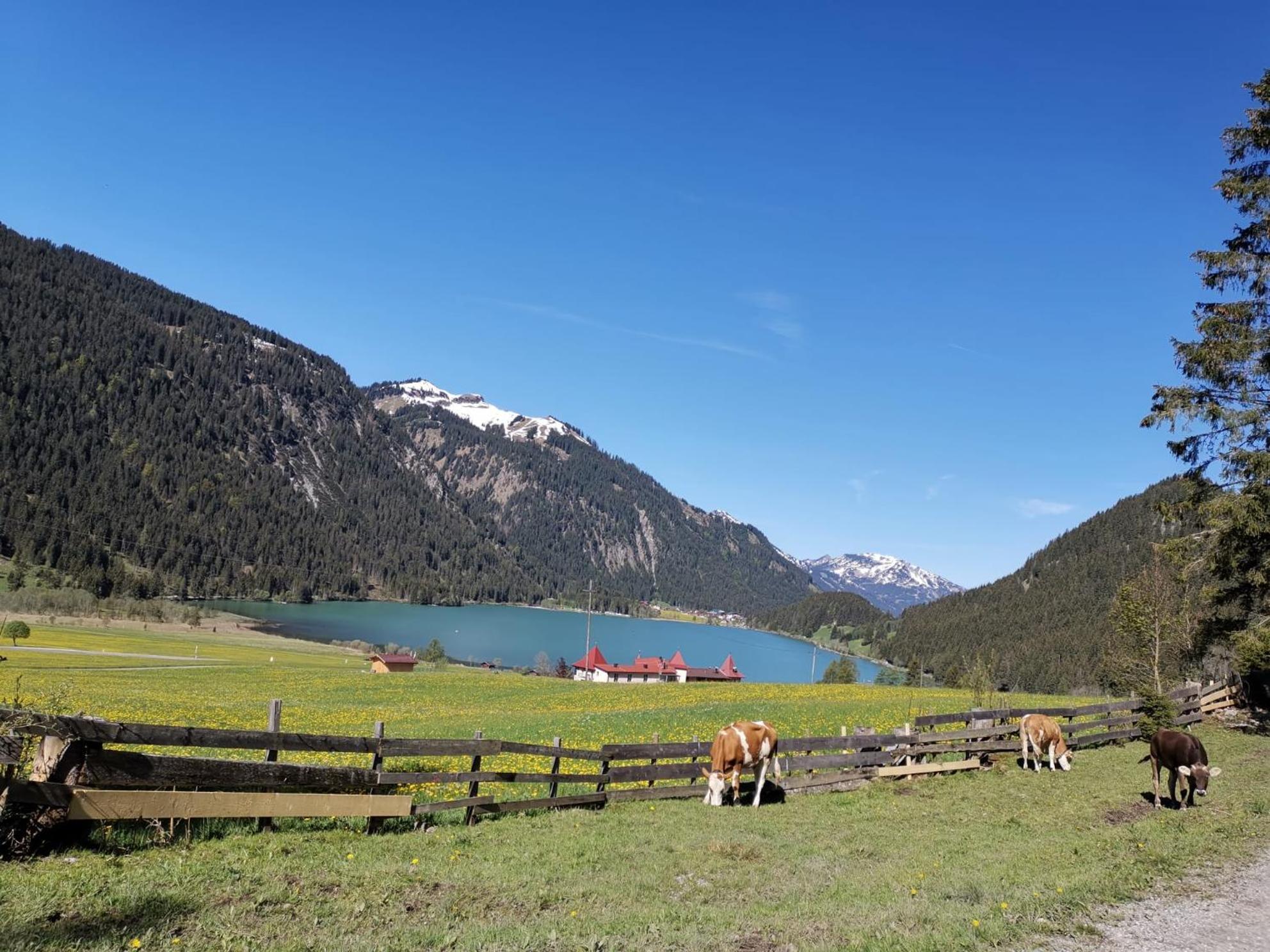 Alpapart Hornberg Hofen Екстер'єр фото