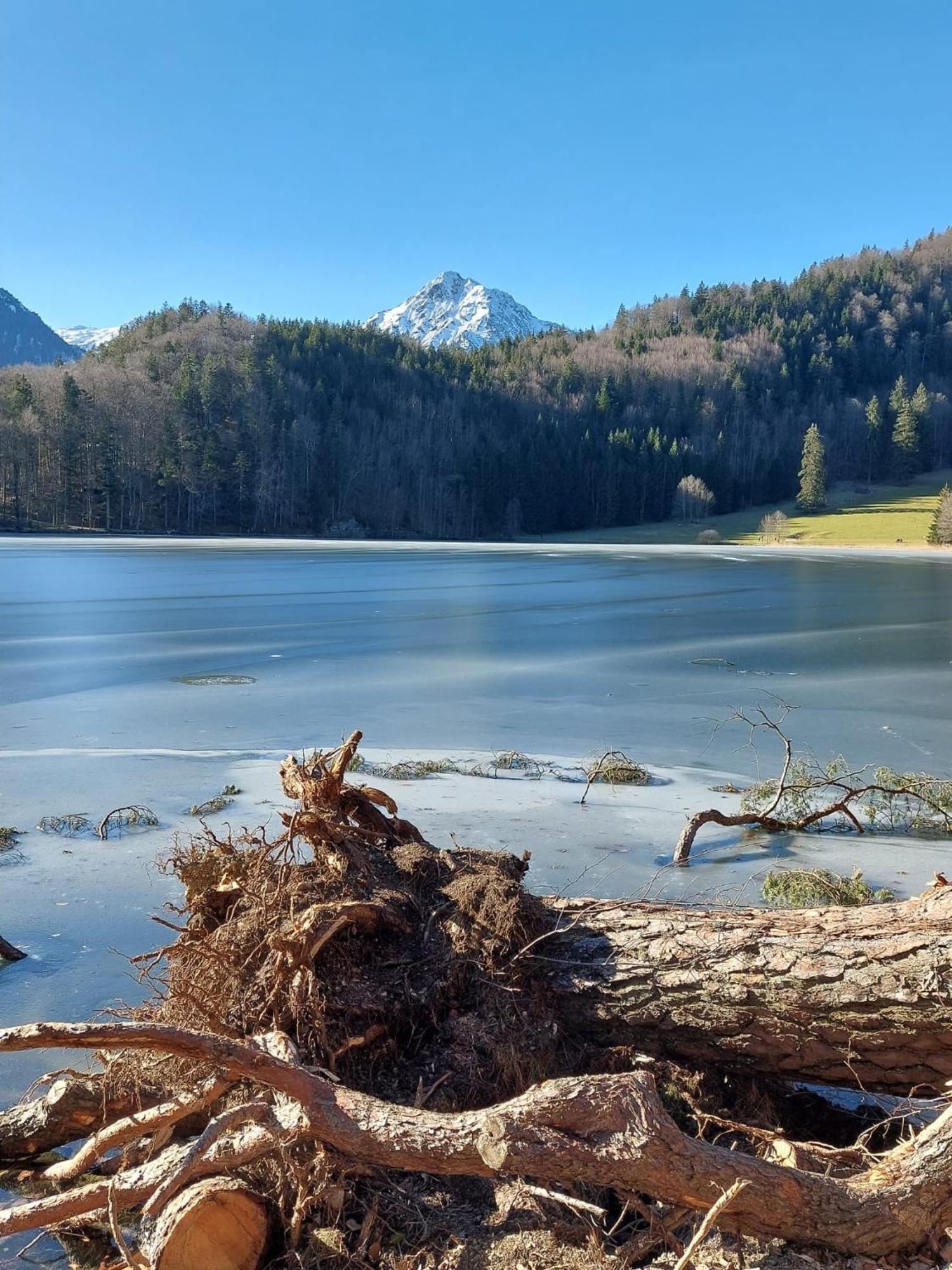 Alpapart Hornberg Hofen Екстер'єр фото