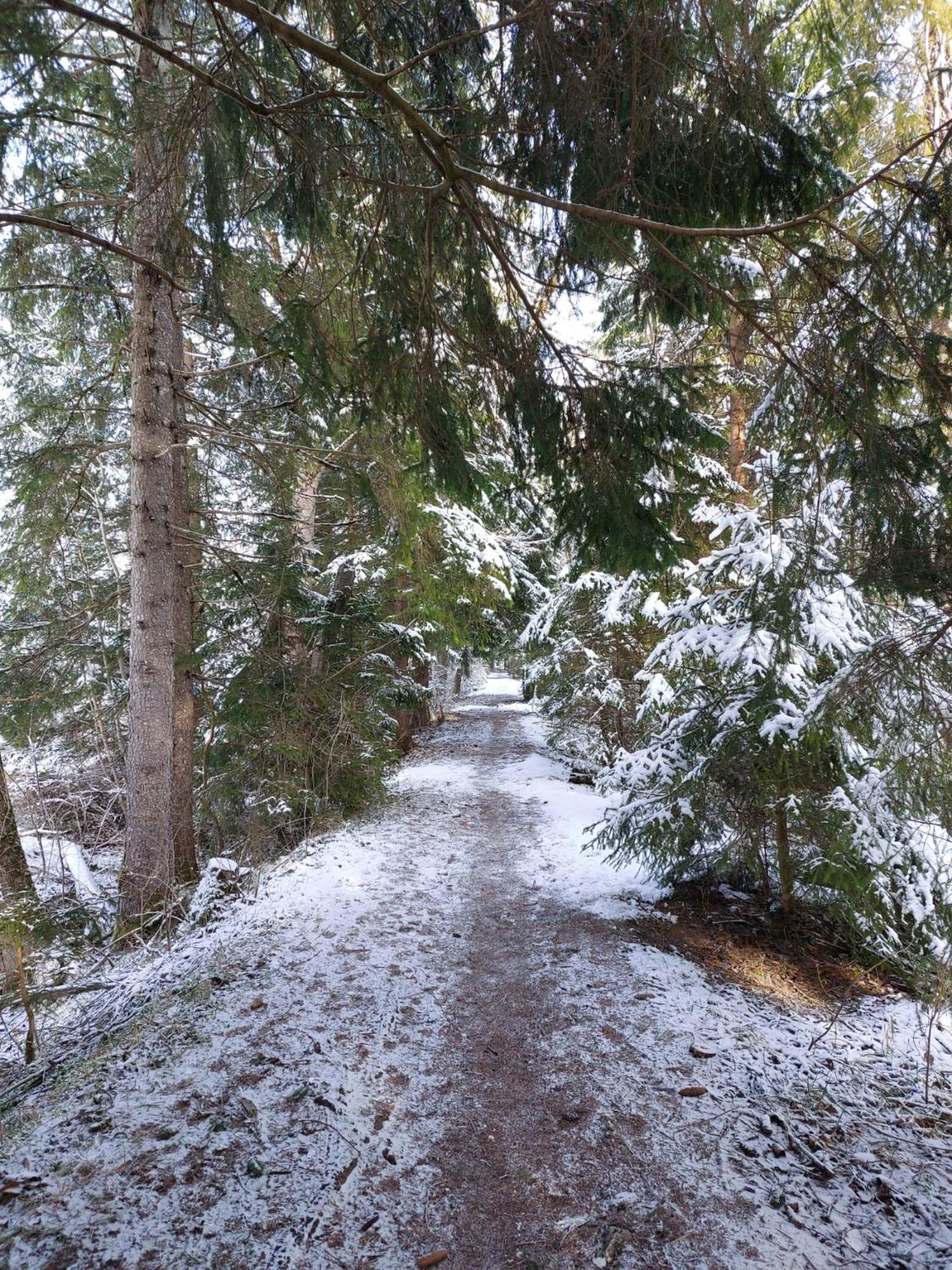 Alpapart Hornberg Hofen Екстер'єр фото